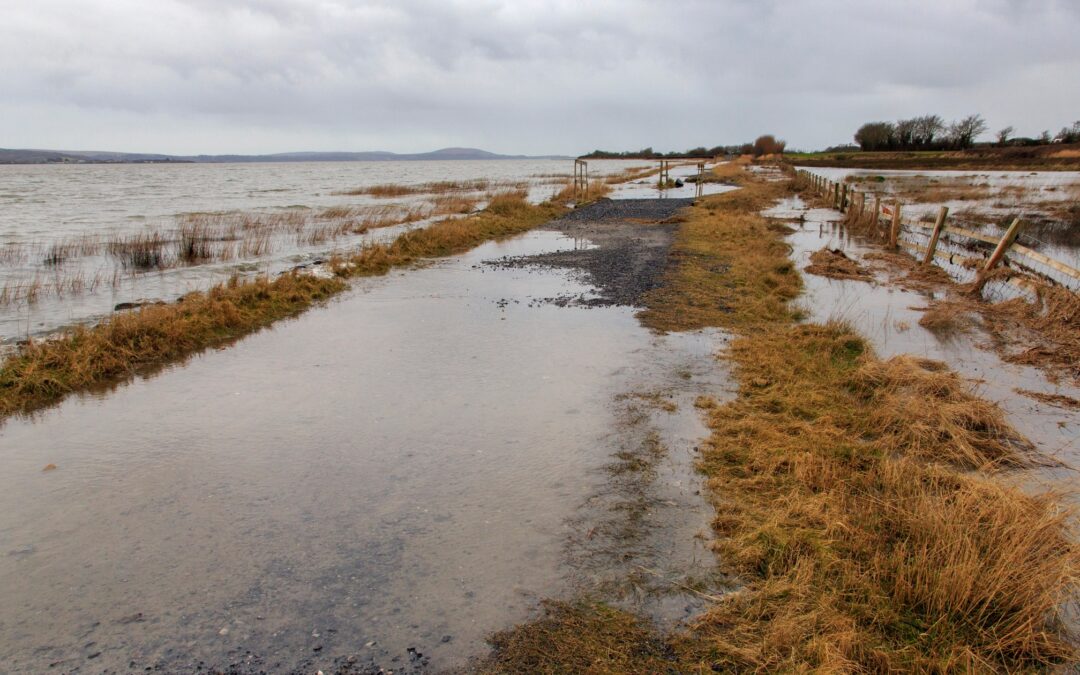 Flood Defences for Rising Sea Level: Safeguarding Coastal Communities